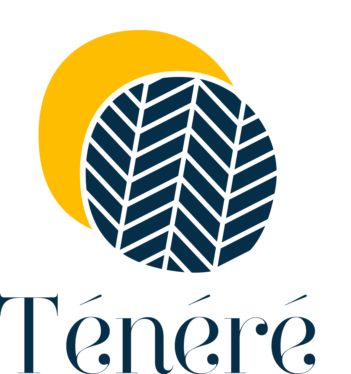 Tenere Concept